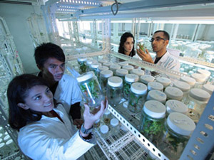 Science Laboratory 呼死你网页版